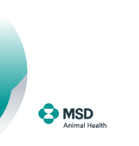 MSD logo